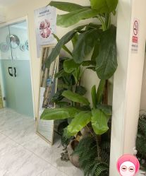 -健身堂科技美肌SPA