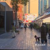 我的面包甜品图鉴