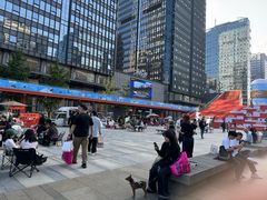 -合景·悠方(成都店)