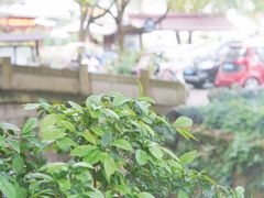 -欣怡茶庄·始于1999(梅家坞店)