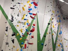 -绿壁虎攀岩基地(Tcar店)
