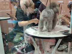 -FAELING PETS美天灵宠物(合生汇店)