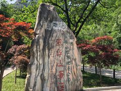 -秦岭终南山世界地质公园翠华山景区
