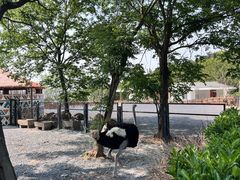-无锡动物园·太湖欢乐园