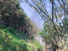 -重庆彩云湖湿地公园