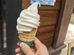 -东明山森林公园