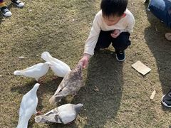 -南通洲际绿博园