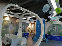 -博沃思·专注力·心理咨询·家庭教育(世豪中心)