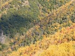 -灵山