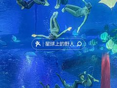 -正佳极地海洋世界