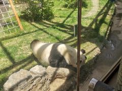 -鄂尔多斯野生动物园