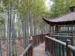 -陶祖圣境风景区
