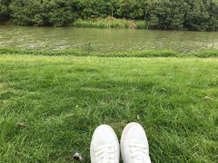 -艾溪湖湿地公园