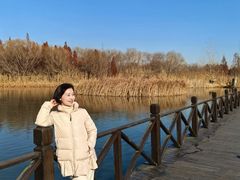 -溱湖国家湿地公园