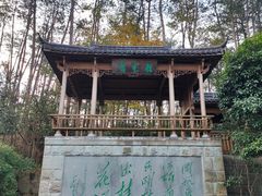 -千岛湖东南湖区