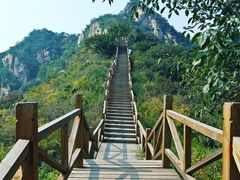 -大岭沟猕猴桃谷风景区