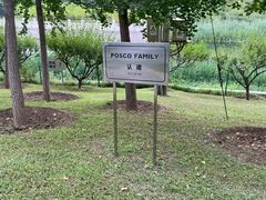 -大望京公园