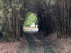 -广富林郊野公园