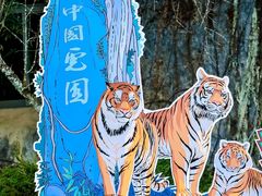 -龙岩梅花山虎园