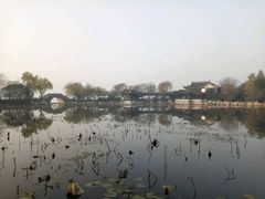 -高子水居
