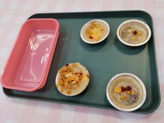 -菲司迪托育园(蛇口店)
