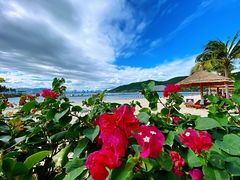 -芽庄珍珠岛游乐园