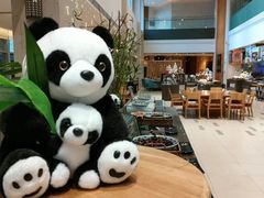 -成都蒲江花样年福朋喜来登度假酒店·宜客乐西餐厅