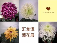 -汇龙潭