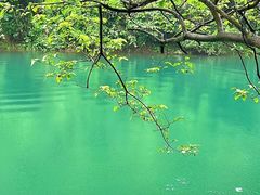 -鼎湖山风景区