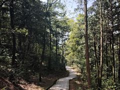 -桃花岭景区