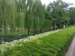 -元大都城垣遗址公园