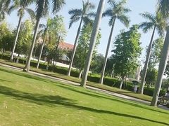 操场-厦门大学(思明校区)