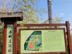 -洛阳市隋唐城遗址植物园