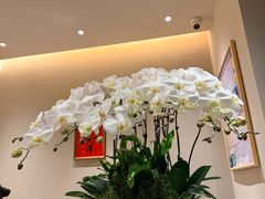 -月龍吟(朝龙汇店)