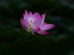 -太阳宫公园