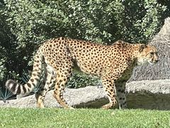 -北京野生动物园