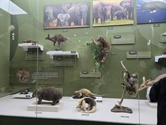 -国家自然博物馆