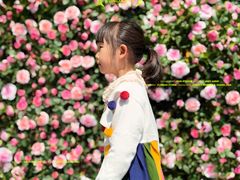 -证大大拇指广场(芳甸路店)