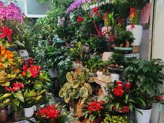 -三旗百汇商品城