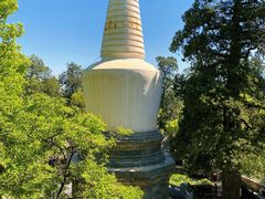 -大觉寺-停车场