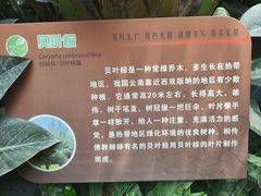 -济南植物园