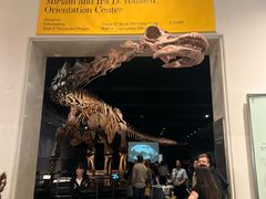 -美国自然历史博物馆