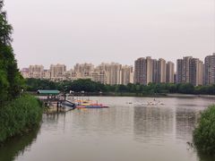 -南翔镇银翔湖公园