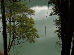 -广州市流溪河国家森林公园