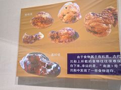 -汕头市博物馆