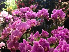 -婷意花宇TheGracesFloral(北外滩店)