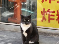 -小溅沾串