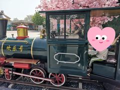 -南宫五洲植物乐园