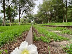-永定河休闲森林公园