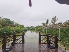 -江门古劳水乡旅游区